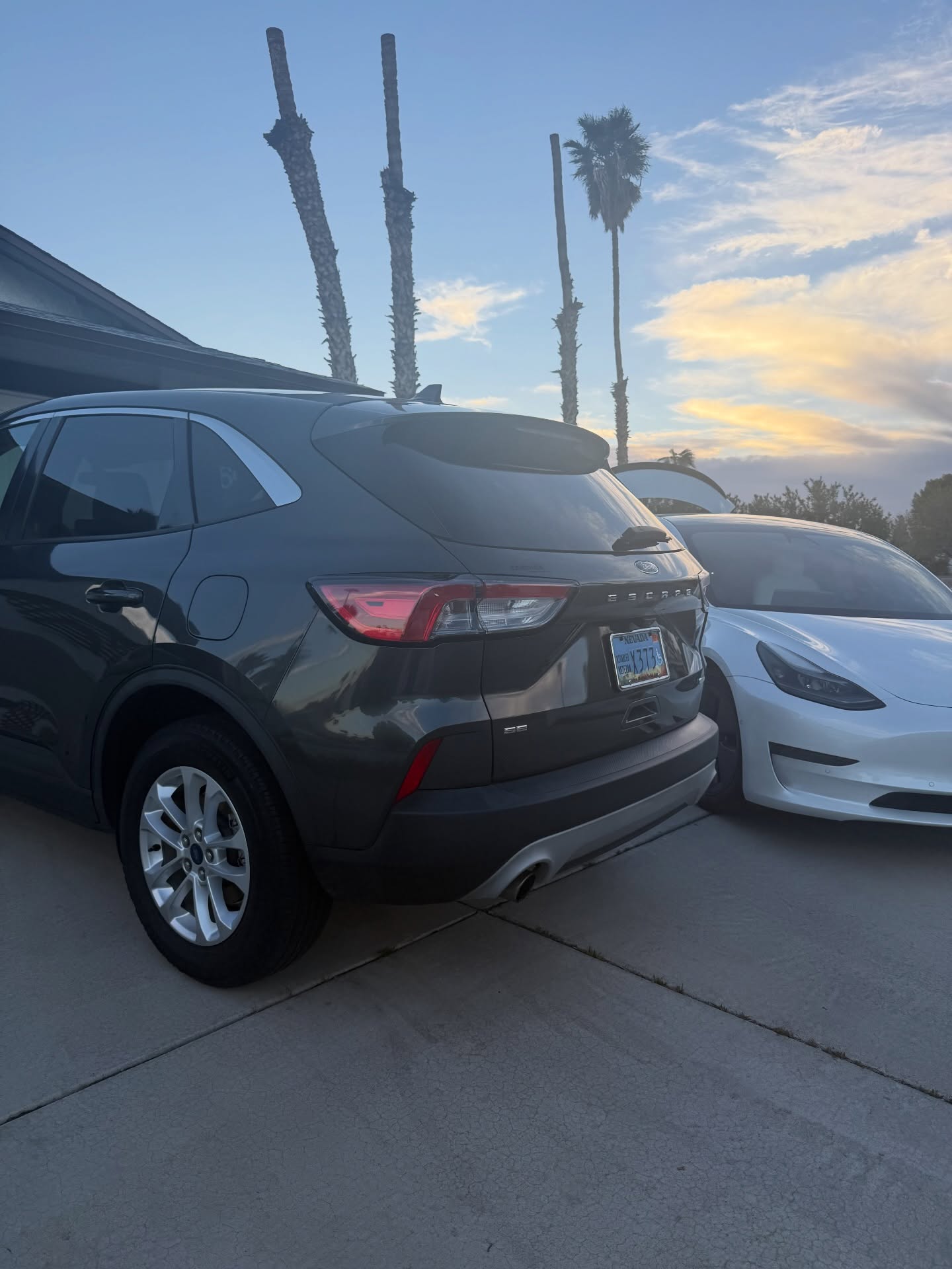 Detailed Ford SUV and Tesla parked together